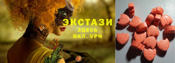 СК Алексин